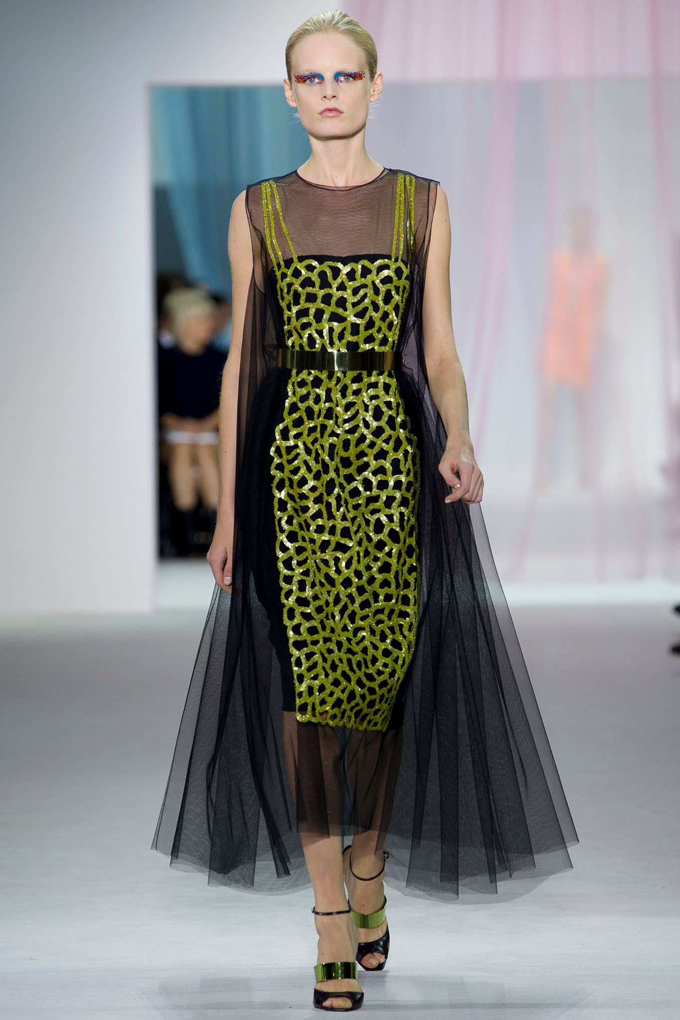 Christian Dior S/S 13 Look 173