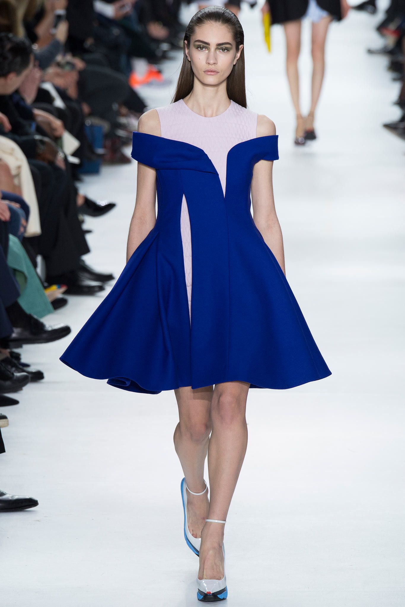 Christian Dior F/W 14 Look 127