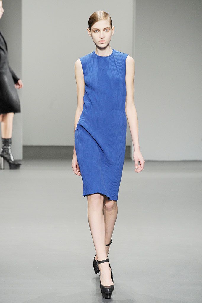 Calvin Klein Collection F/W 10 Look 105