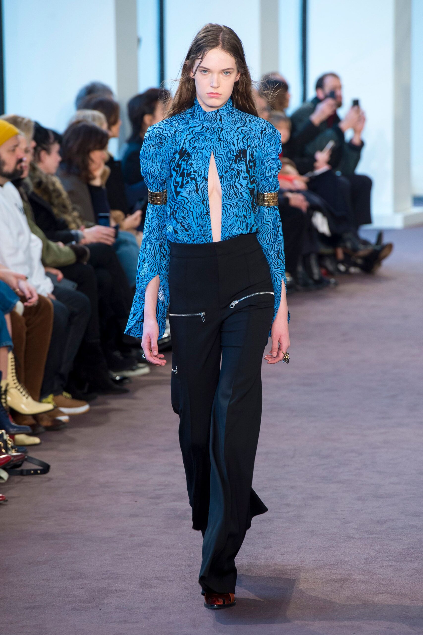 Chloé F/W 18 Look 798