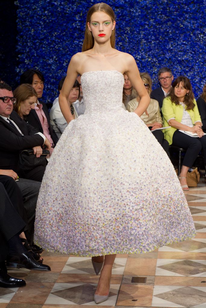 Christian Dior F/W 12 Couture Look 254