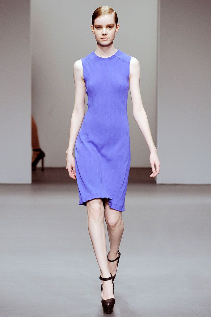 Calvin Klein Collection F/W 10 Look 111