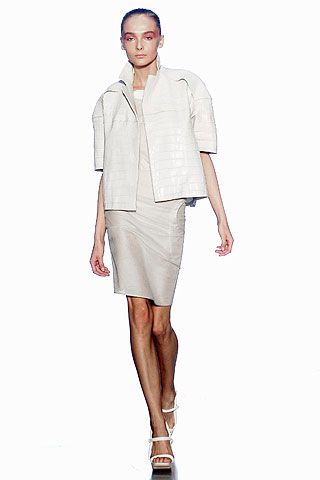 Calvin Klein Collection S/S 07 Look 35