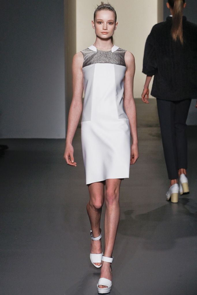 Calvin Klein Collection F/W 11 Look 26