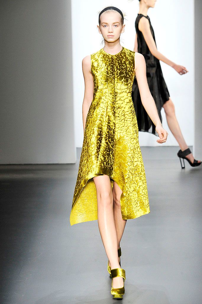 Calvin Klein Collection F/W 09 Look 154