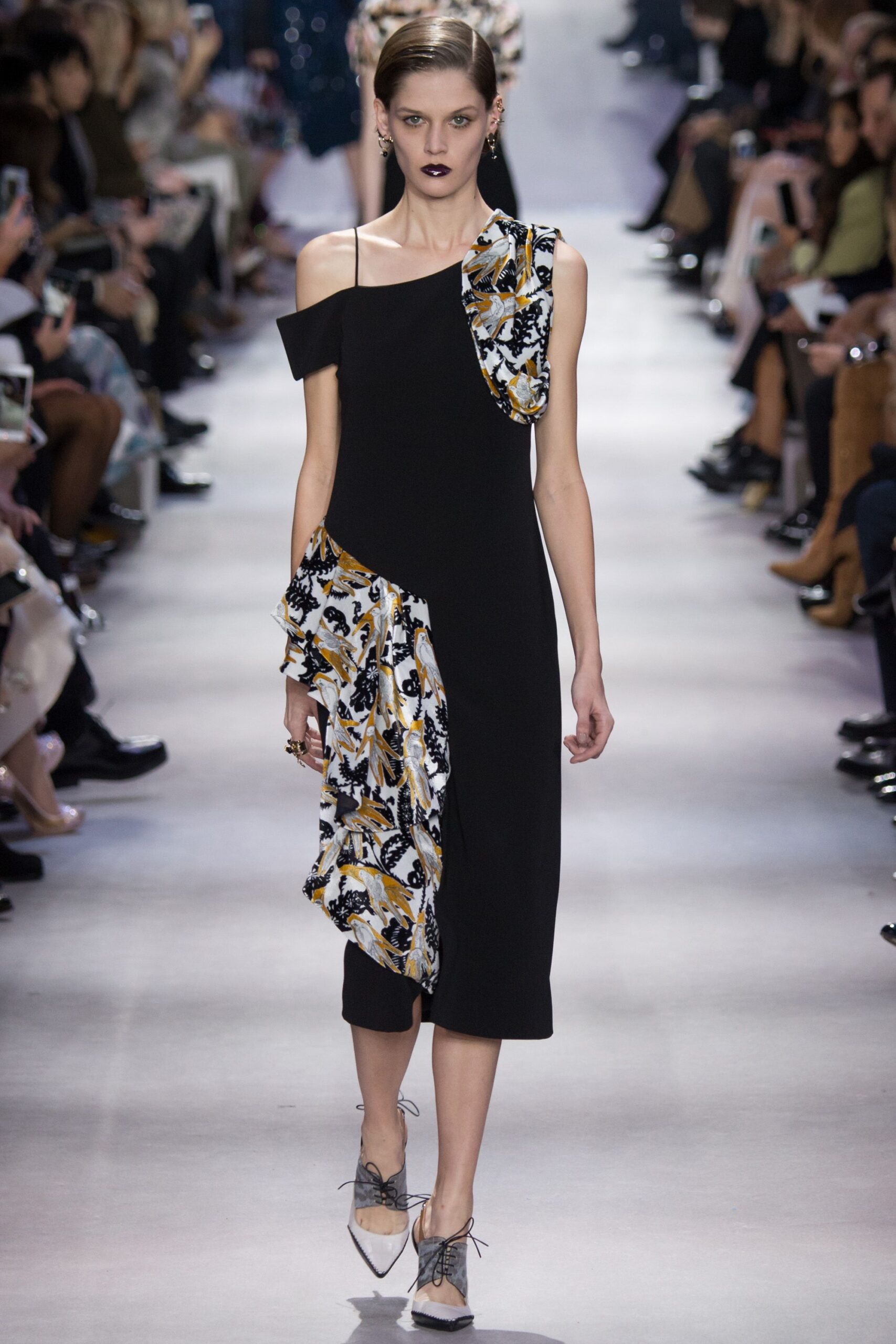 Christian Dior F/W 16 Look 660