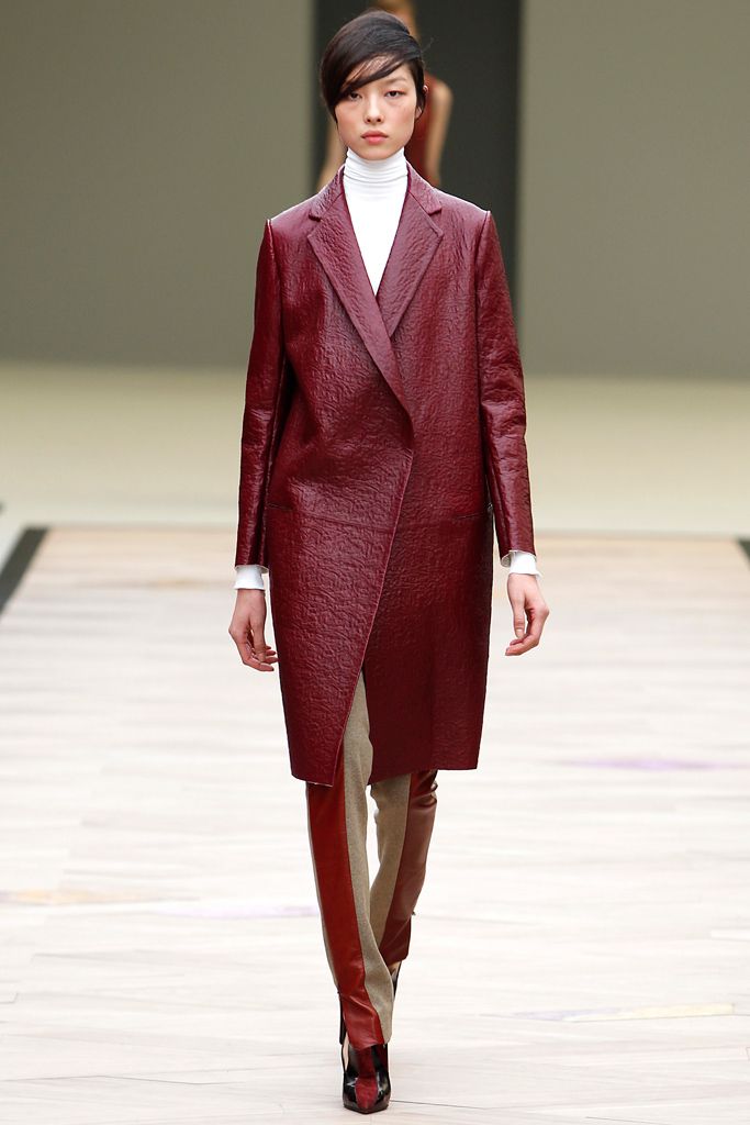 Celine F/W 11 Look 47