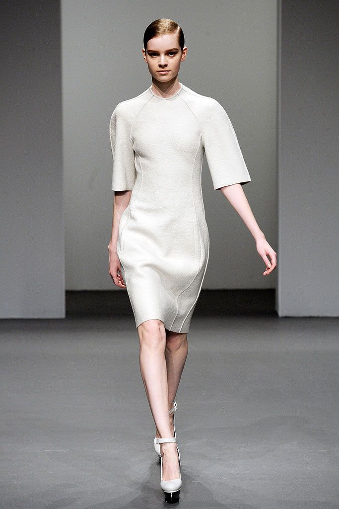 Calvin Klein Collection F/W 10 Look 38