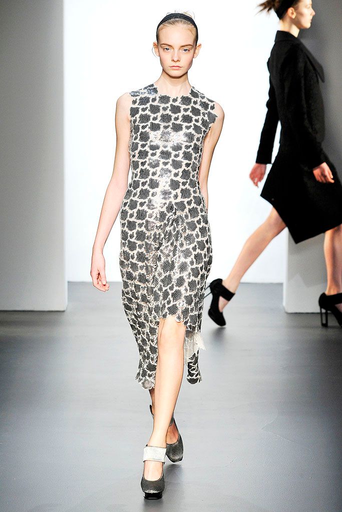 Calvin Klein Collection F/W 09 Look 96