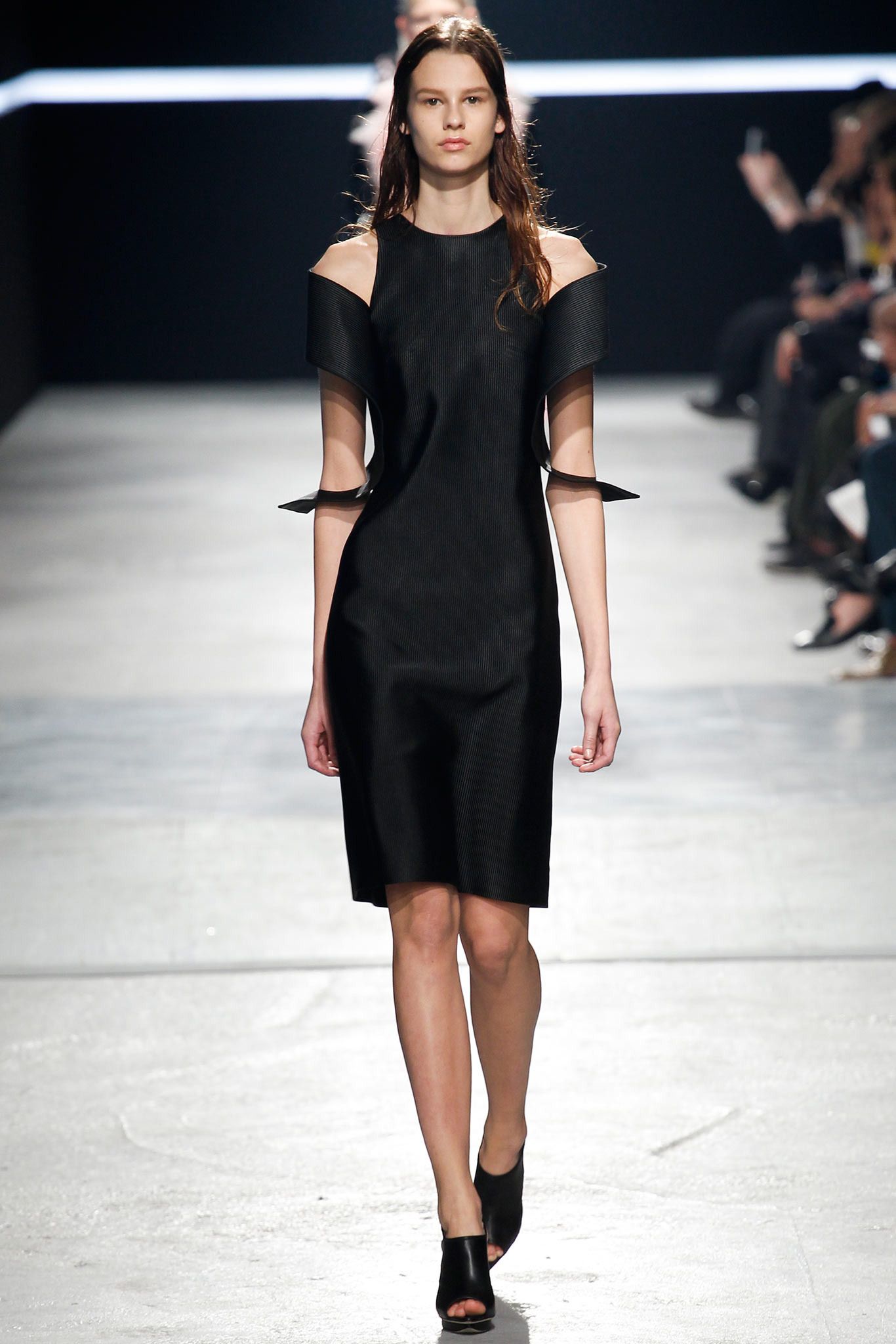Christopher Kane F/W 14 Look 277
