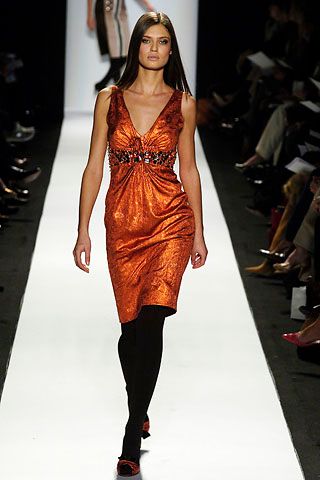Carolina Herrera F/W 06 Look 179