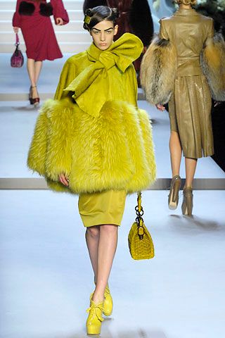 Christian Dior F/W 07 Look 17