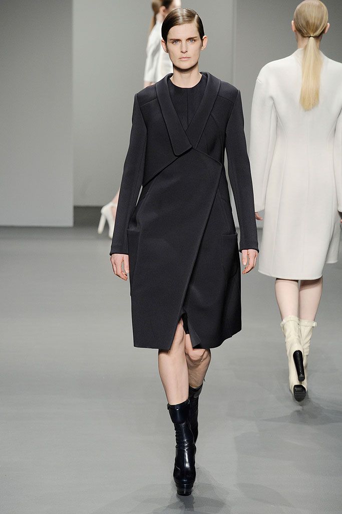 Calvin Klein Collection F/W 10 Look 170