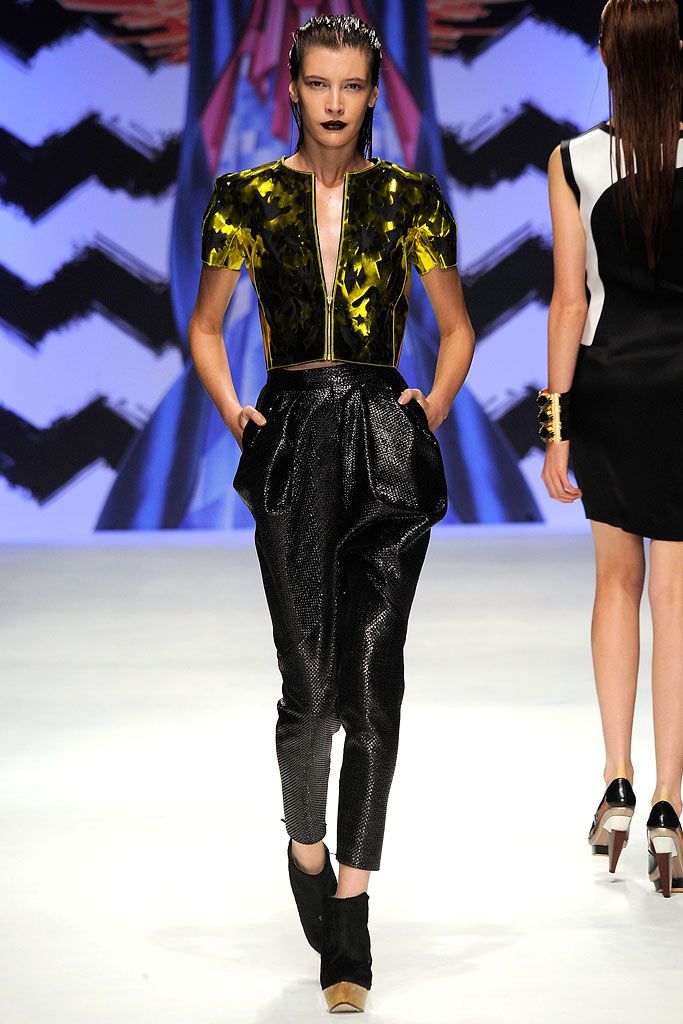 Basso & Brooke S/S 10 Look 139