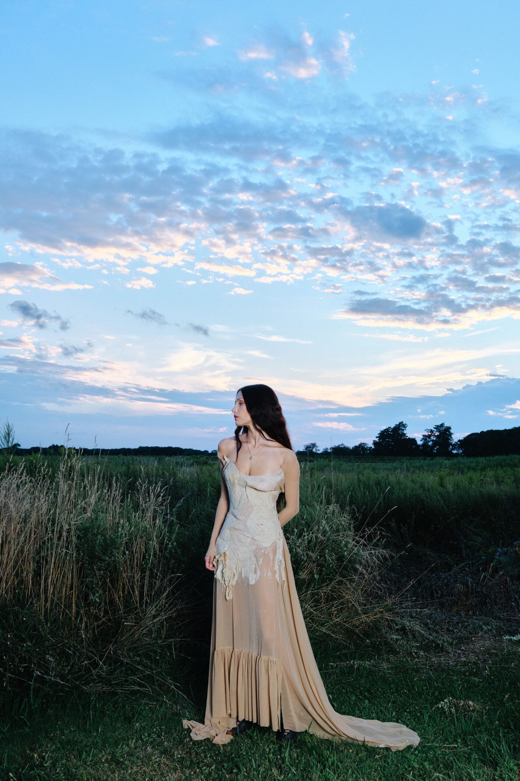 beige silk embroidered gown