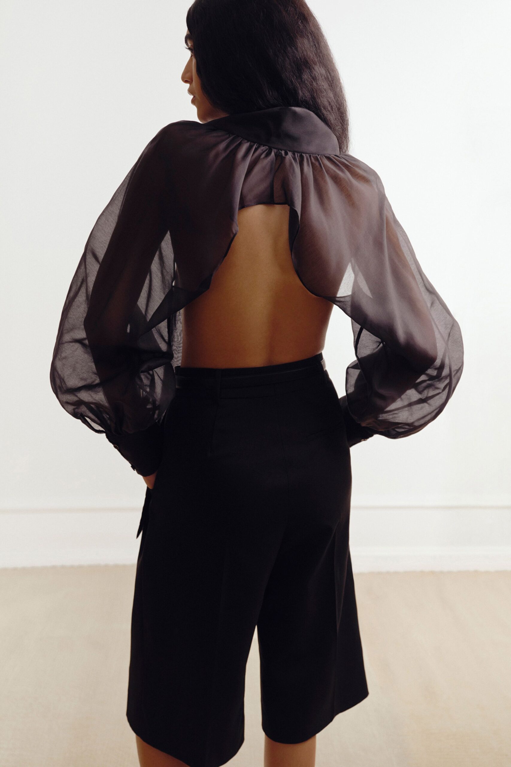 black silk long-sleeve collared fitted ruffled sheer top