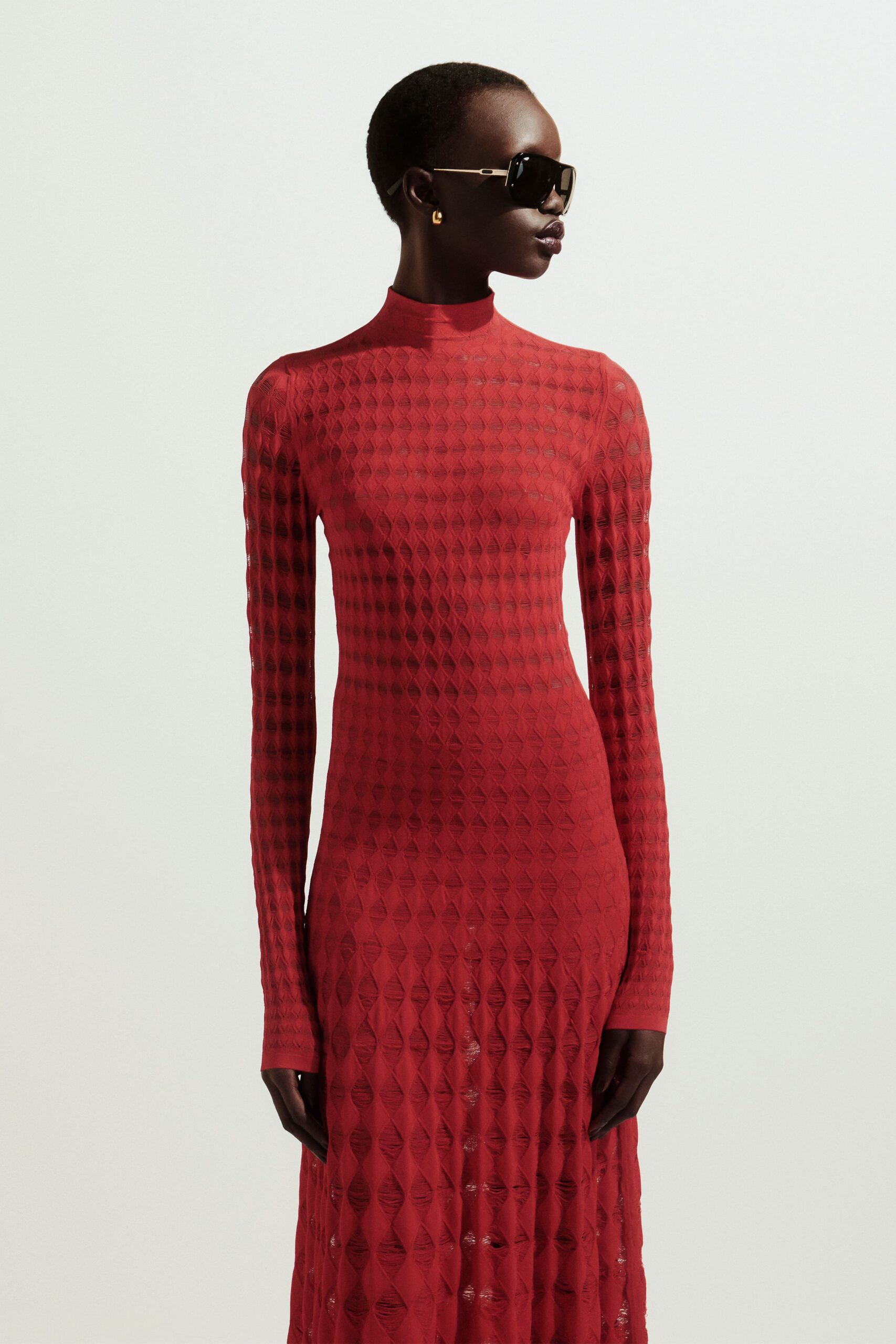 red mesh long-sleeve high-neck fitted textured sheer gown