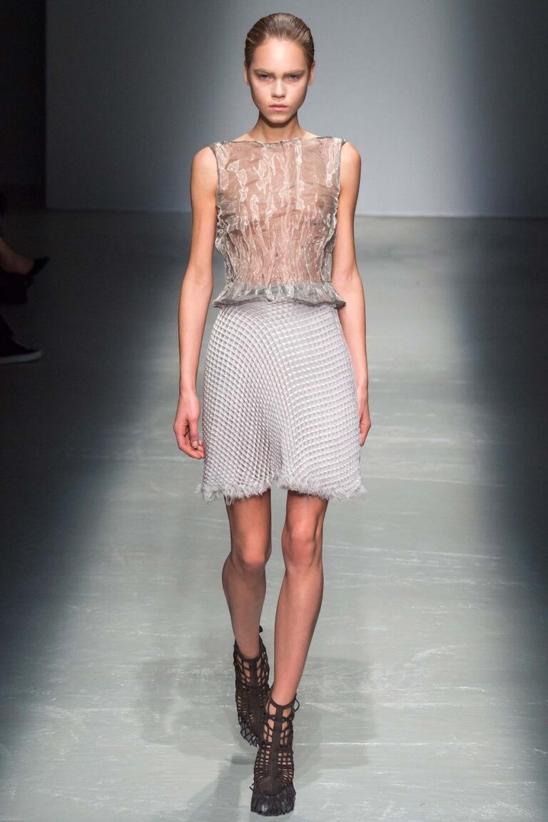 Iris van Herpen Fall 2015 Ready-to-Wear