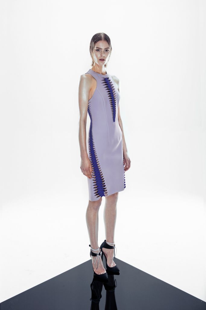 Dion Lee Resort 2013