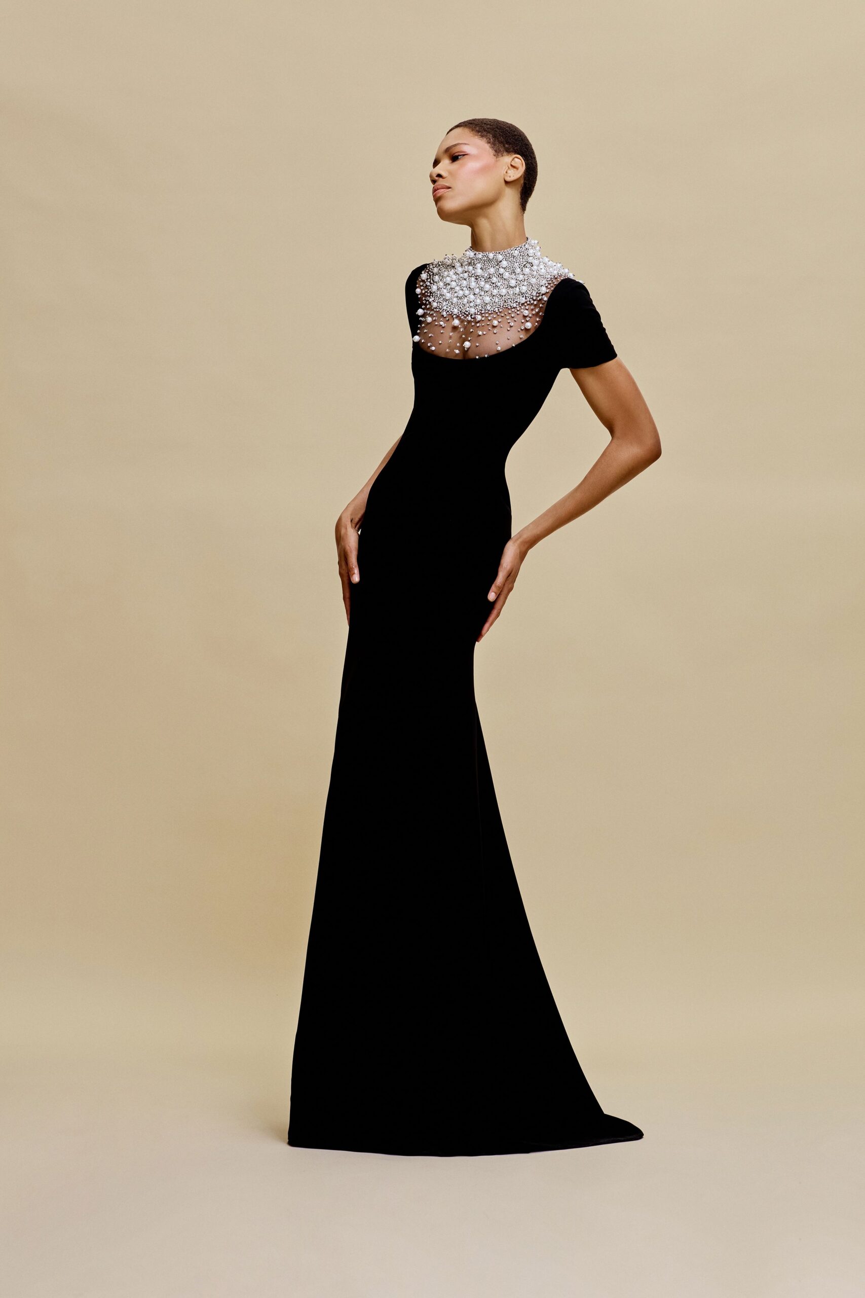 black velvet embellished gown