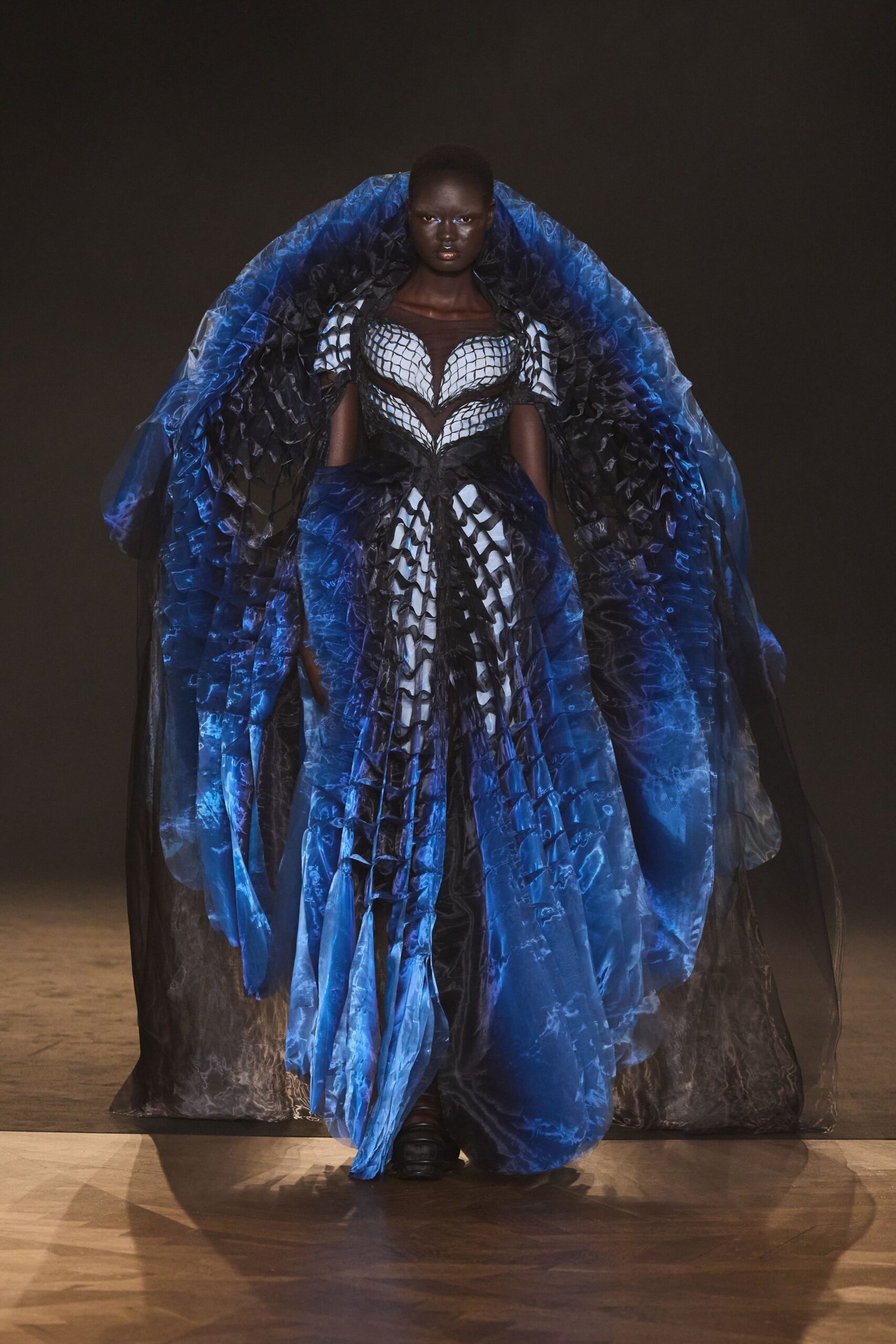 blue and black pleated gown