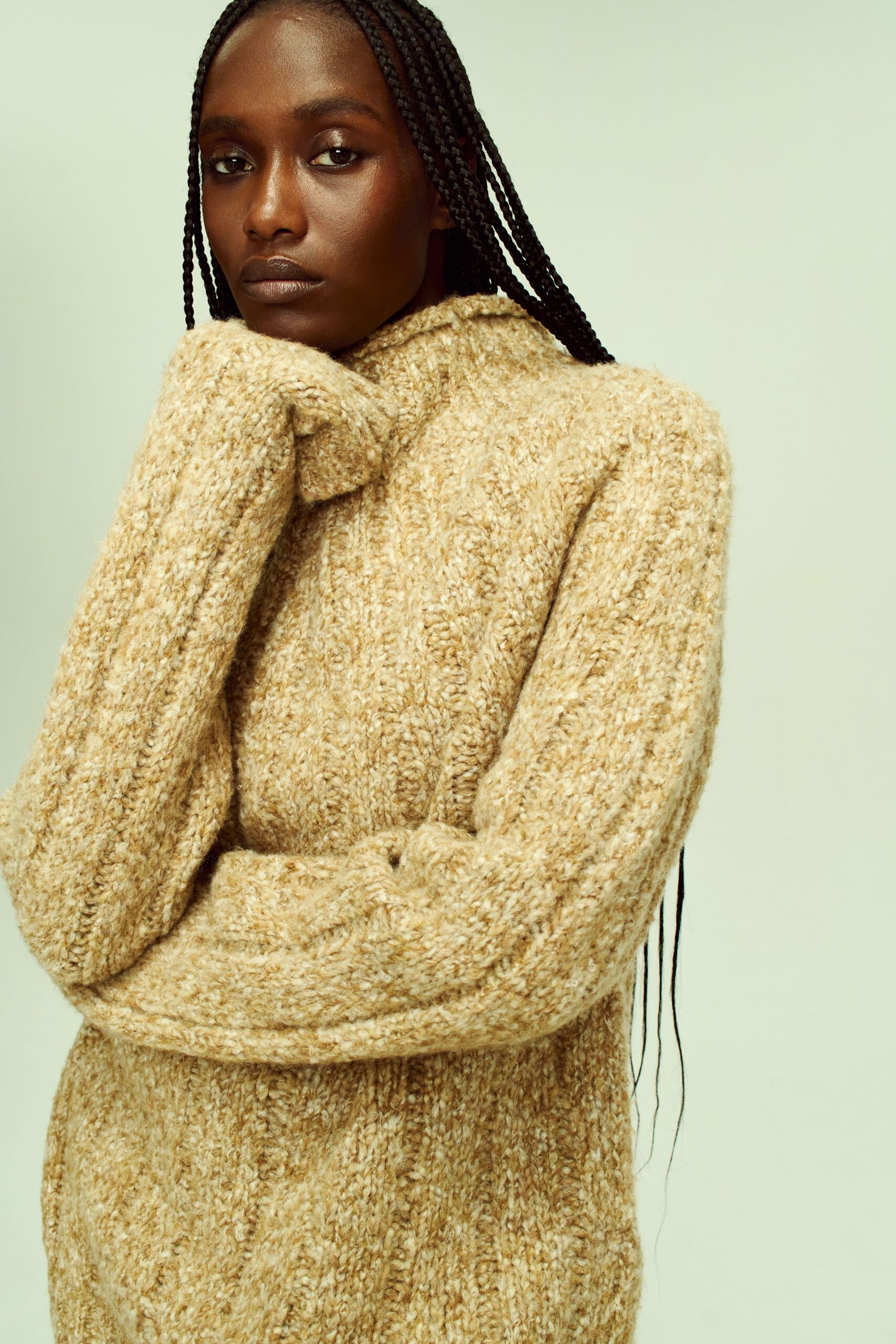 beige relaxed wool turtleneck sweater