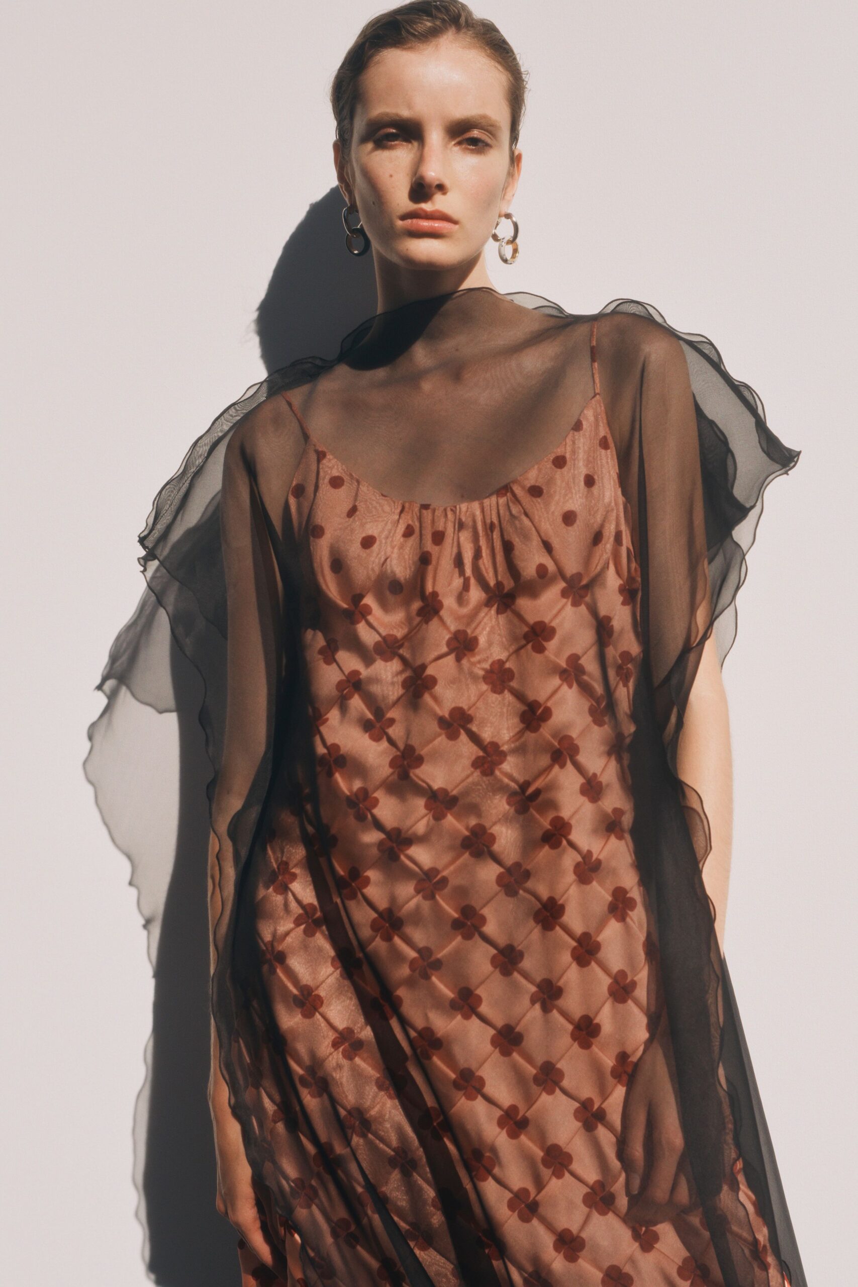 brown embroidered sheer dress