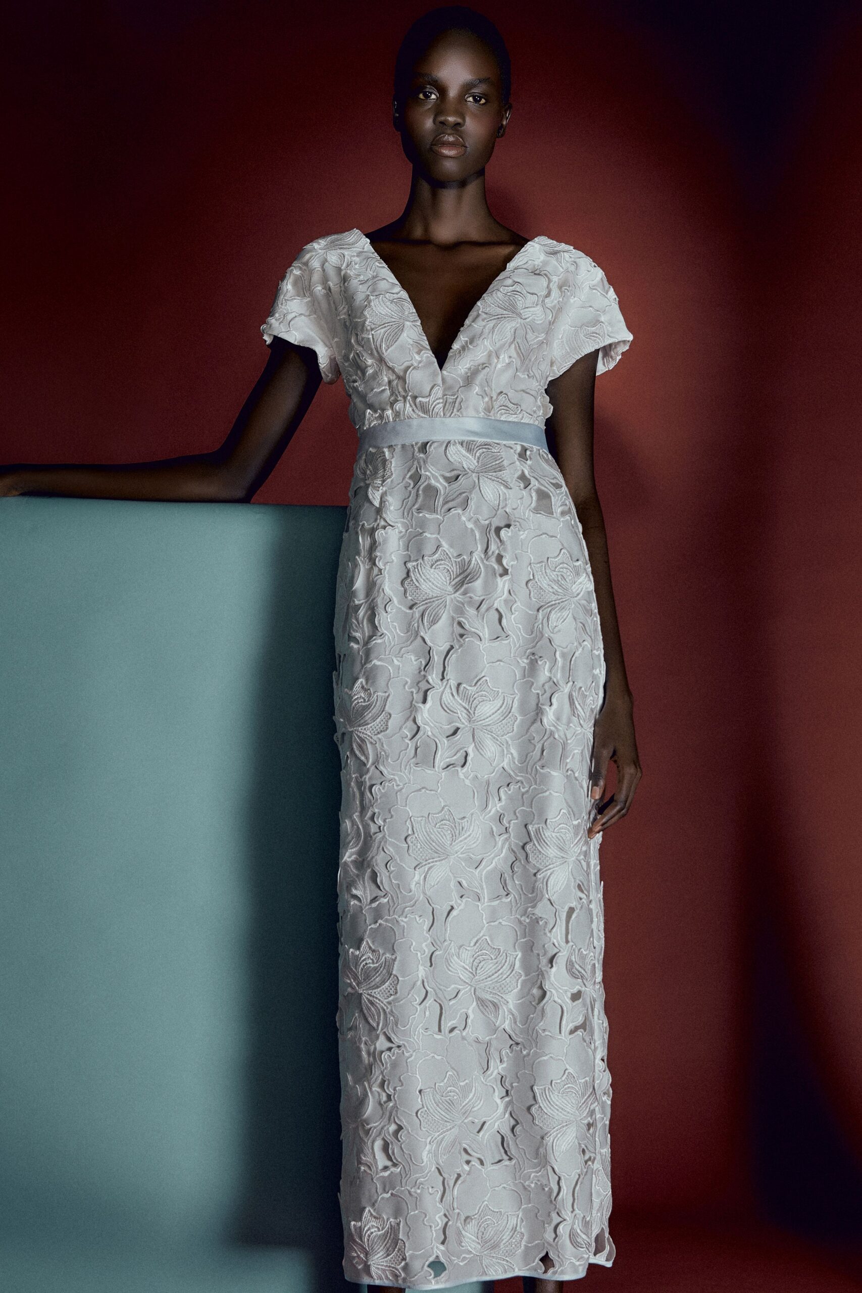 beige lace embroidered gown