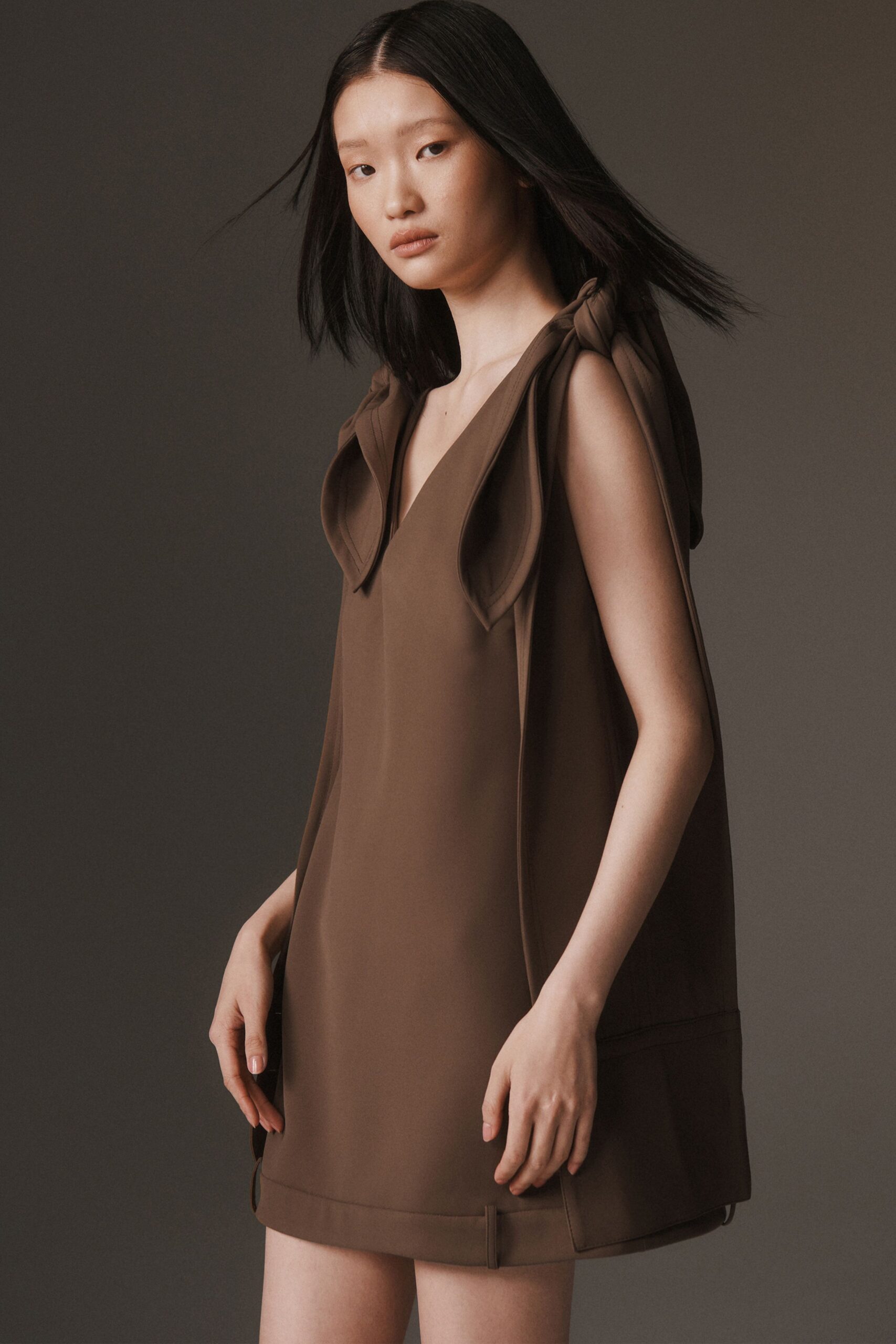 brown silk sleeveless dress