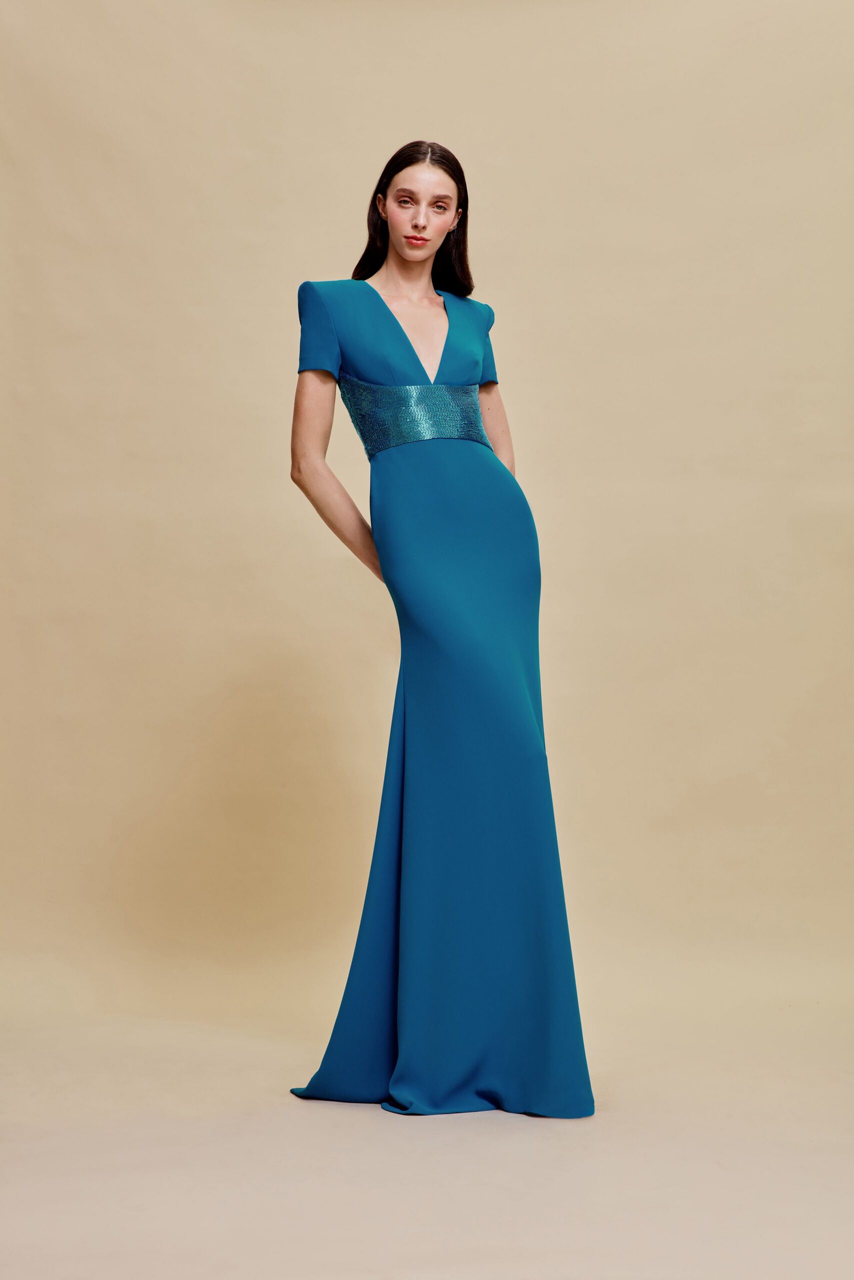 blue silk fitted gown