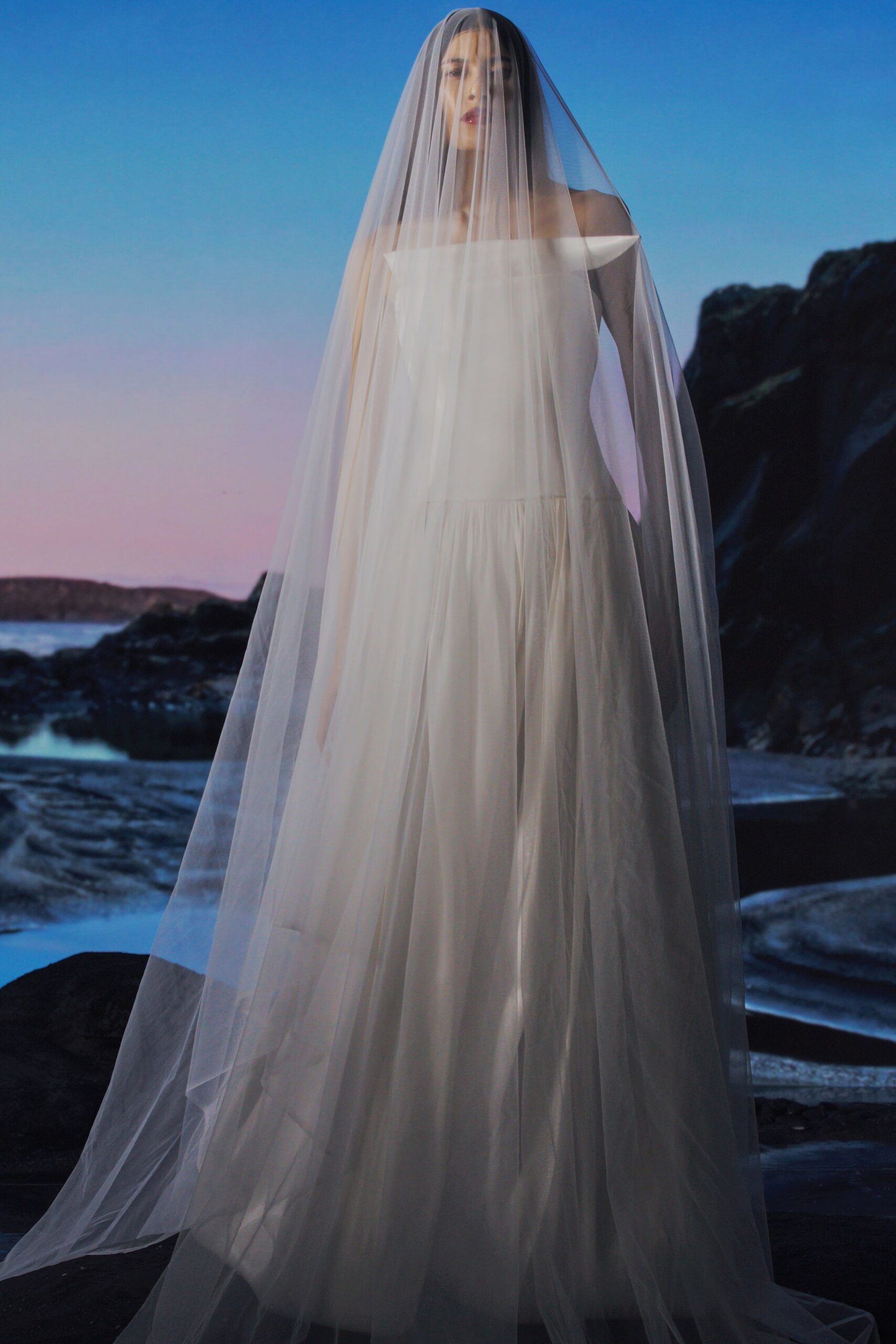 white tulle strapless gown with veil