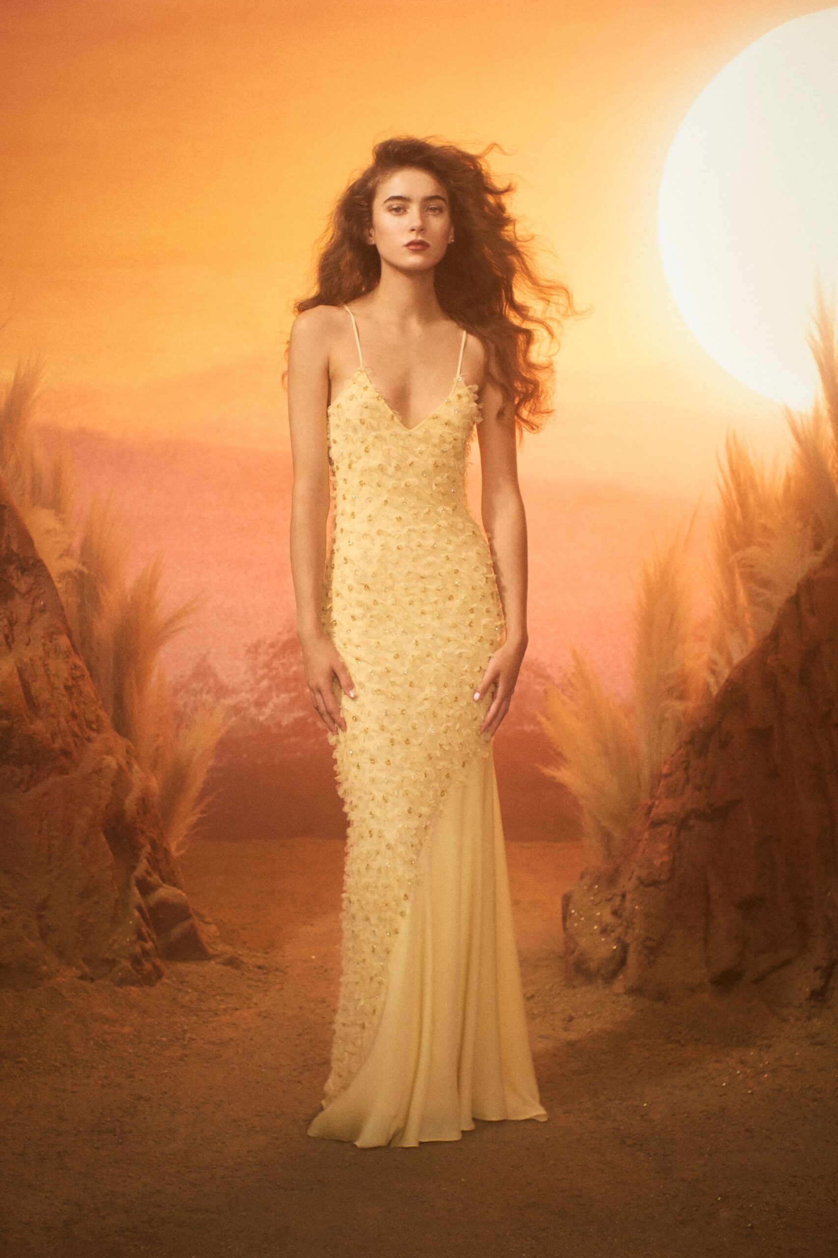 fitted yellow embroidered gown