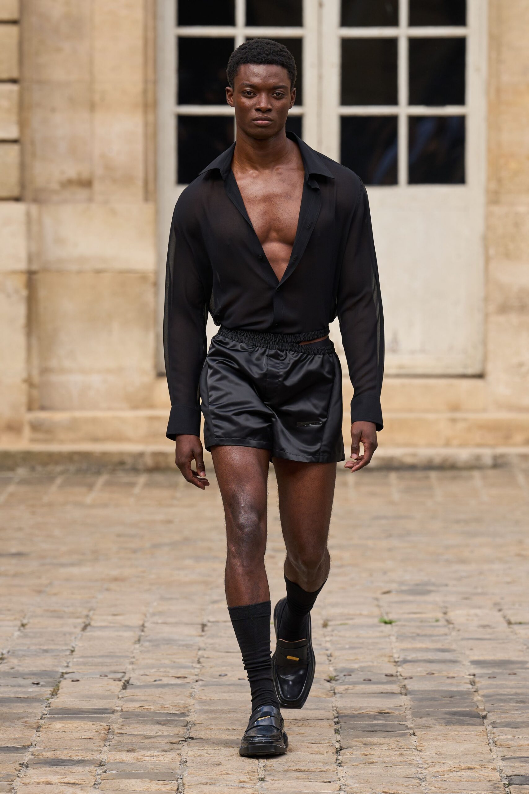 black silk long-sleeve v-neck fitted sheer shirt