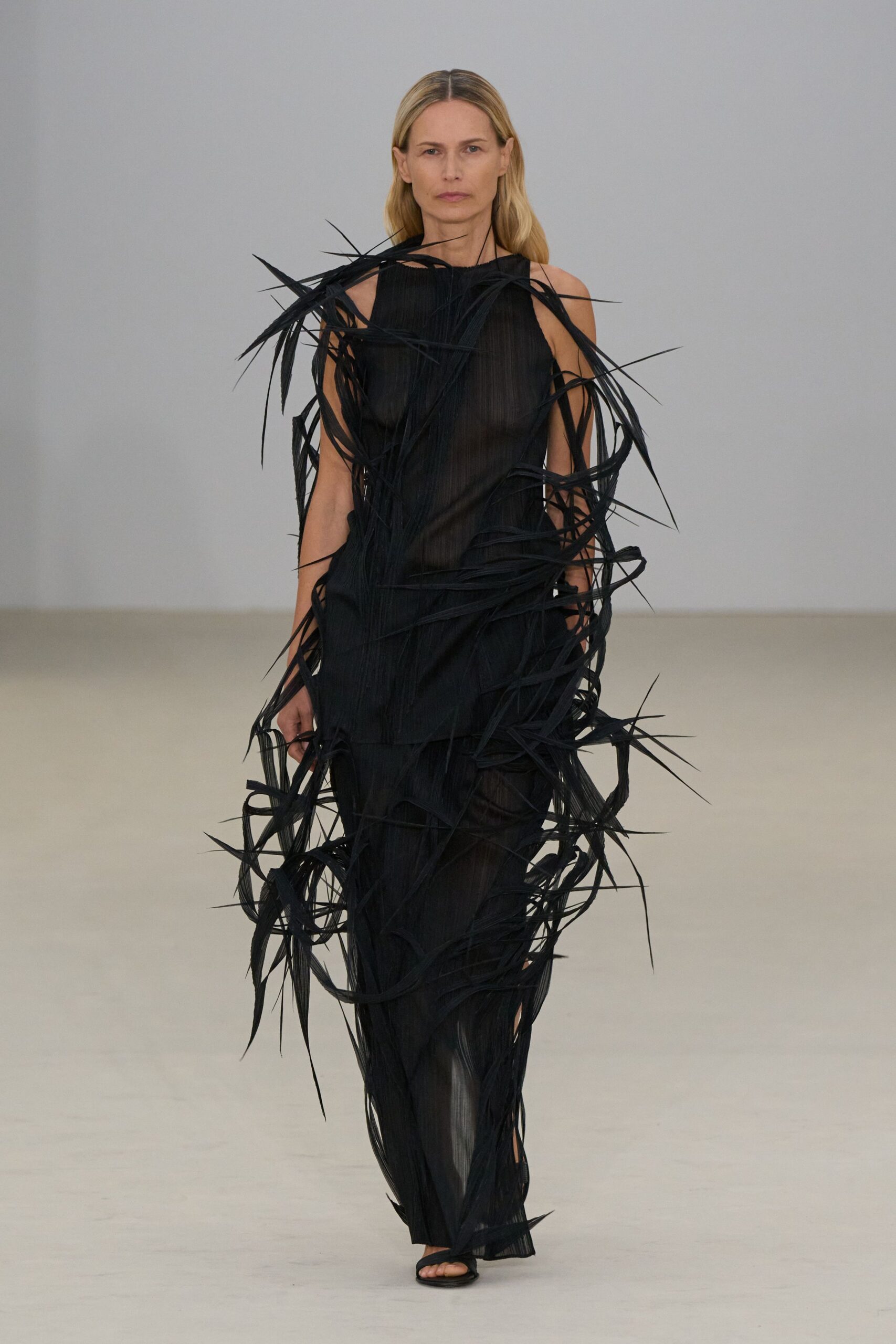 black sheer gown with fringes