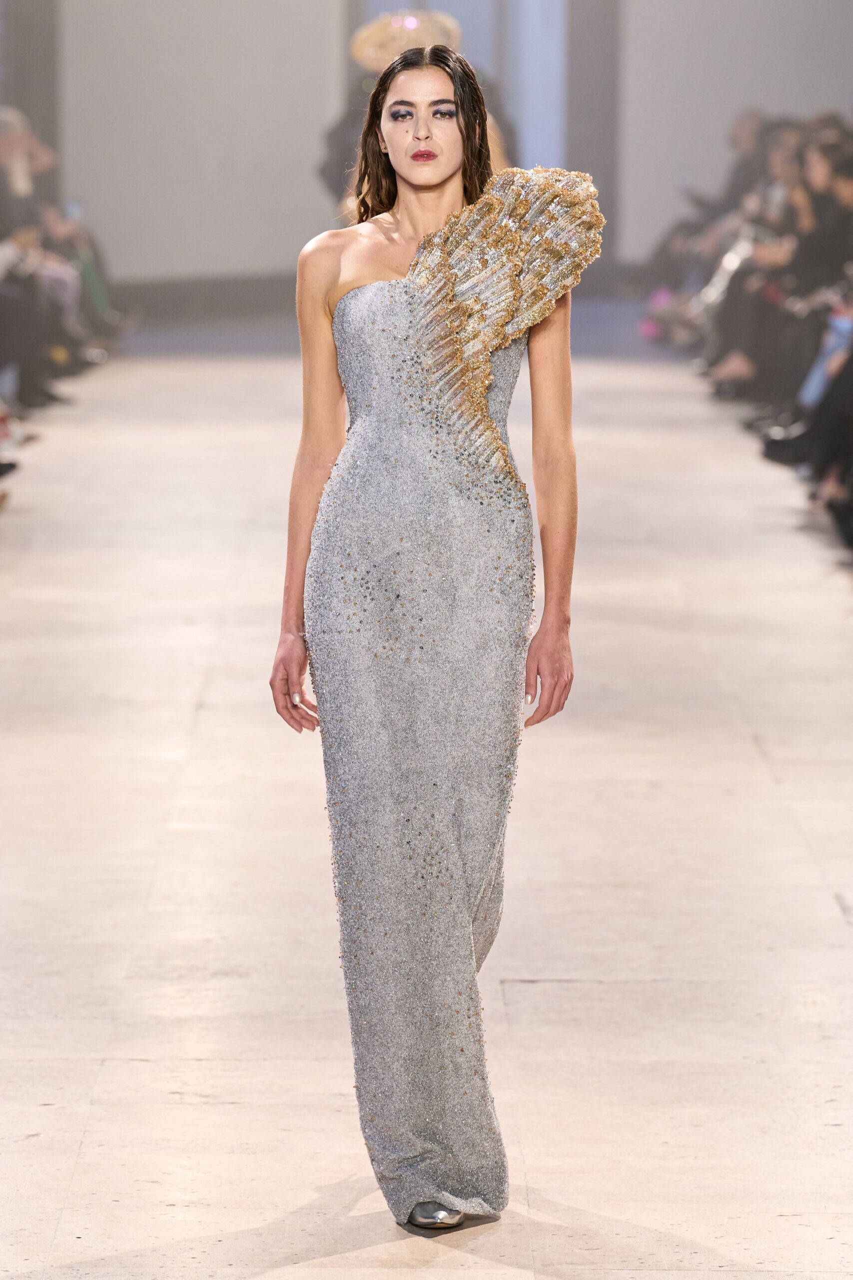 silver embellished sleeveless gown