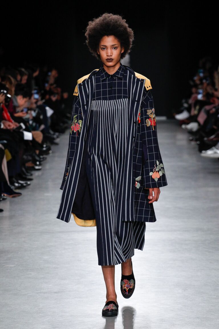Rahul Mishra Fall 2017 Ready-to-Wear