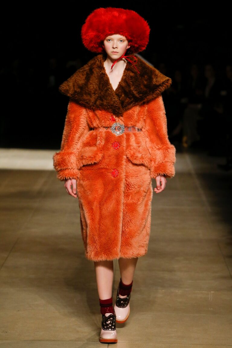 Miu Miu Fall 2017 Ready-to-Wear