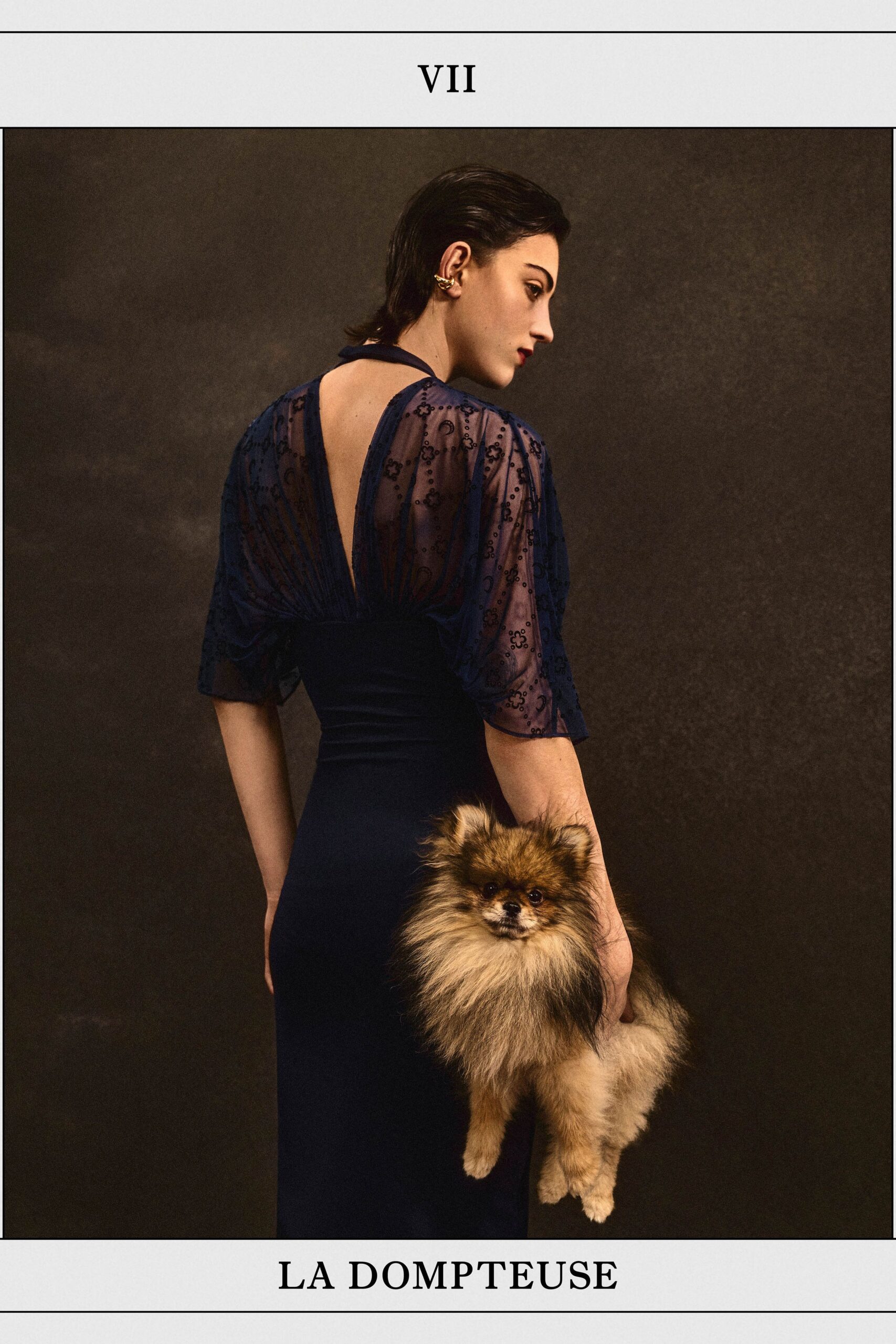 navy lace fitted gown