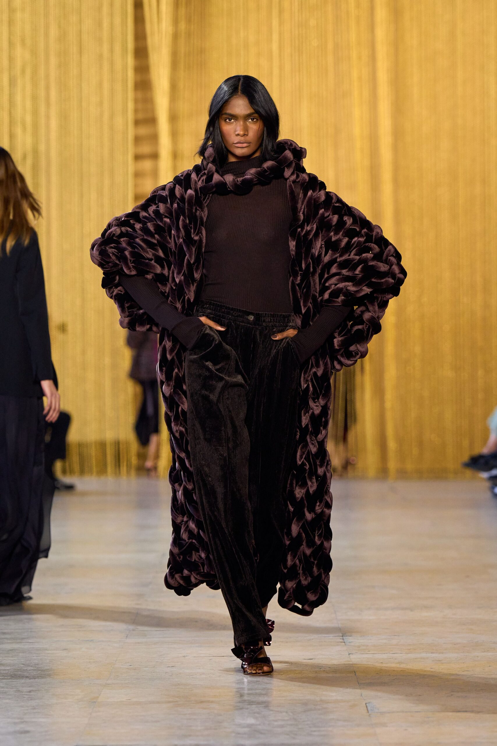 purple velvet cape with brown top