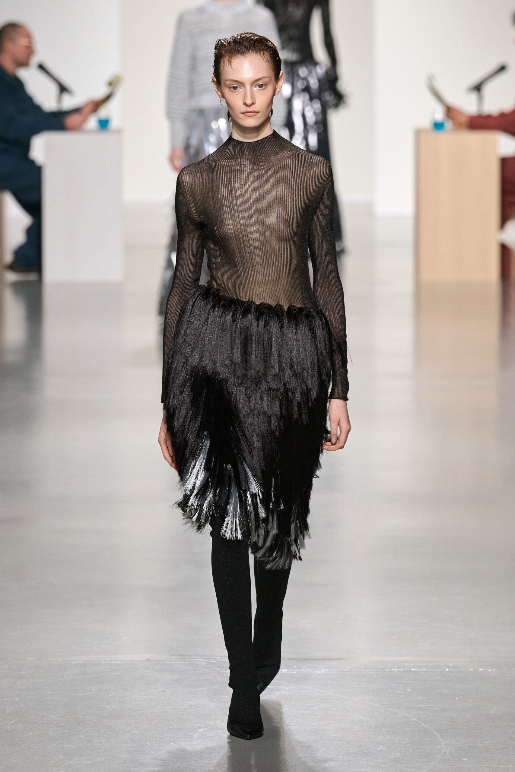 black mesh long-sleeve high-neck fitted pleated fringed dress