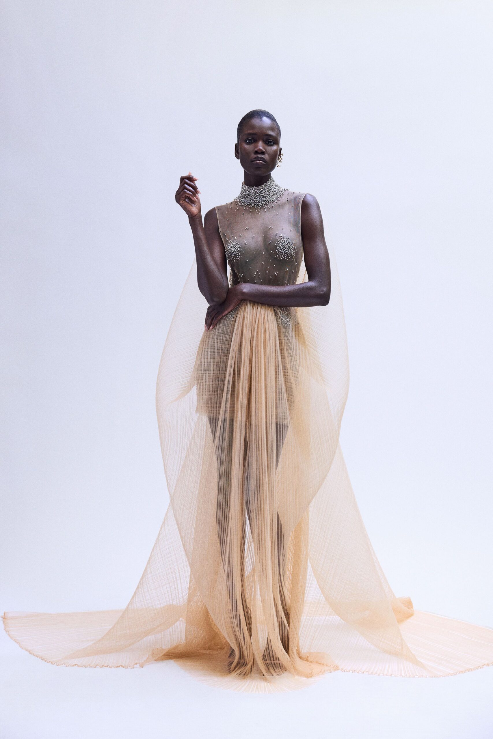 beige sheer embellished gown