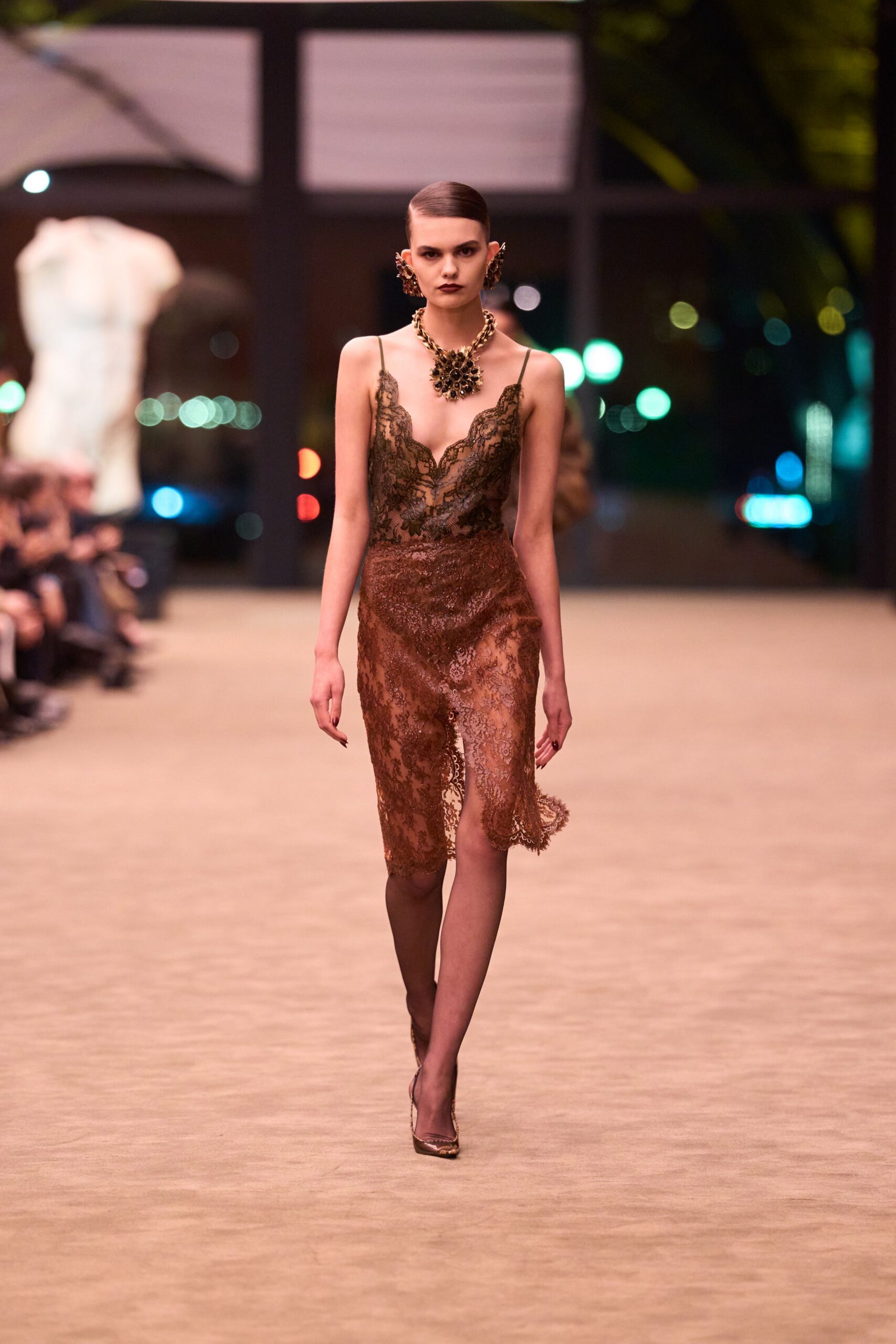 brown lace sleeveless v-neck fitted embroidered sheer dress