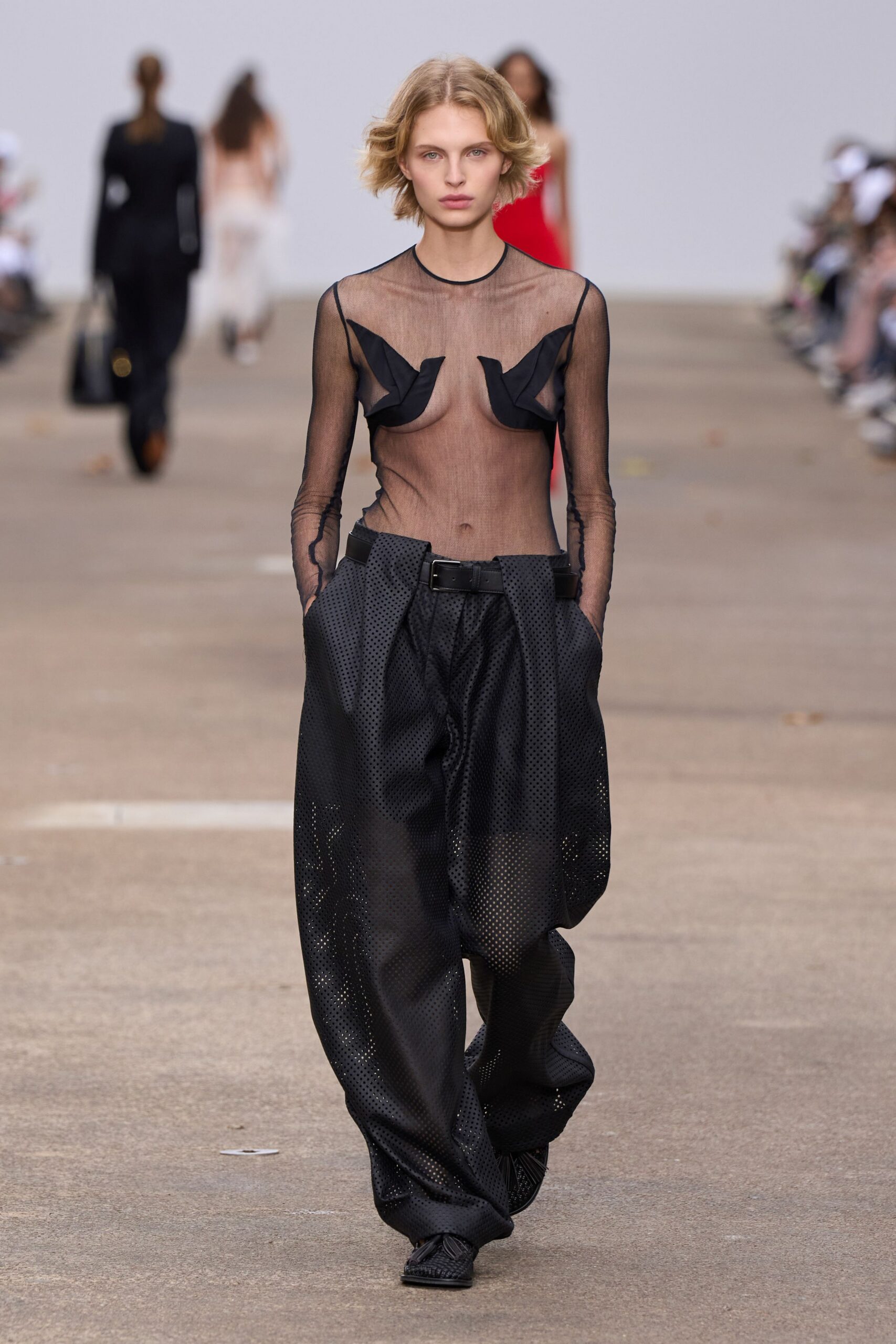black mesh long-sleeve v-neck fitted pleated sheer top