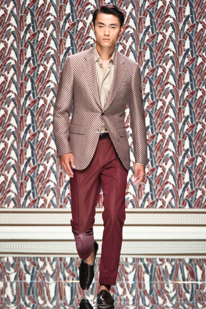 Zegna Spring 2013 Menswear Look 29