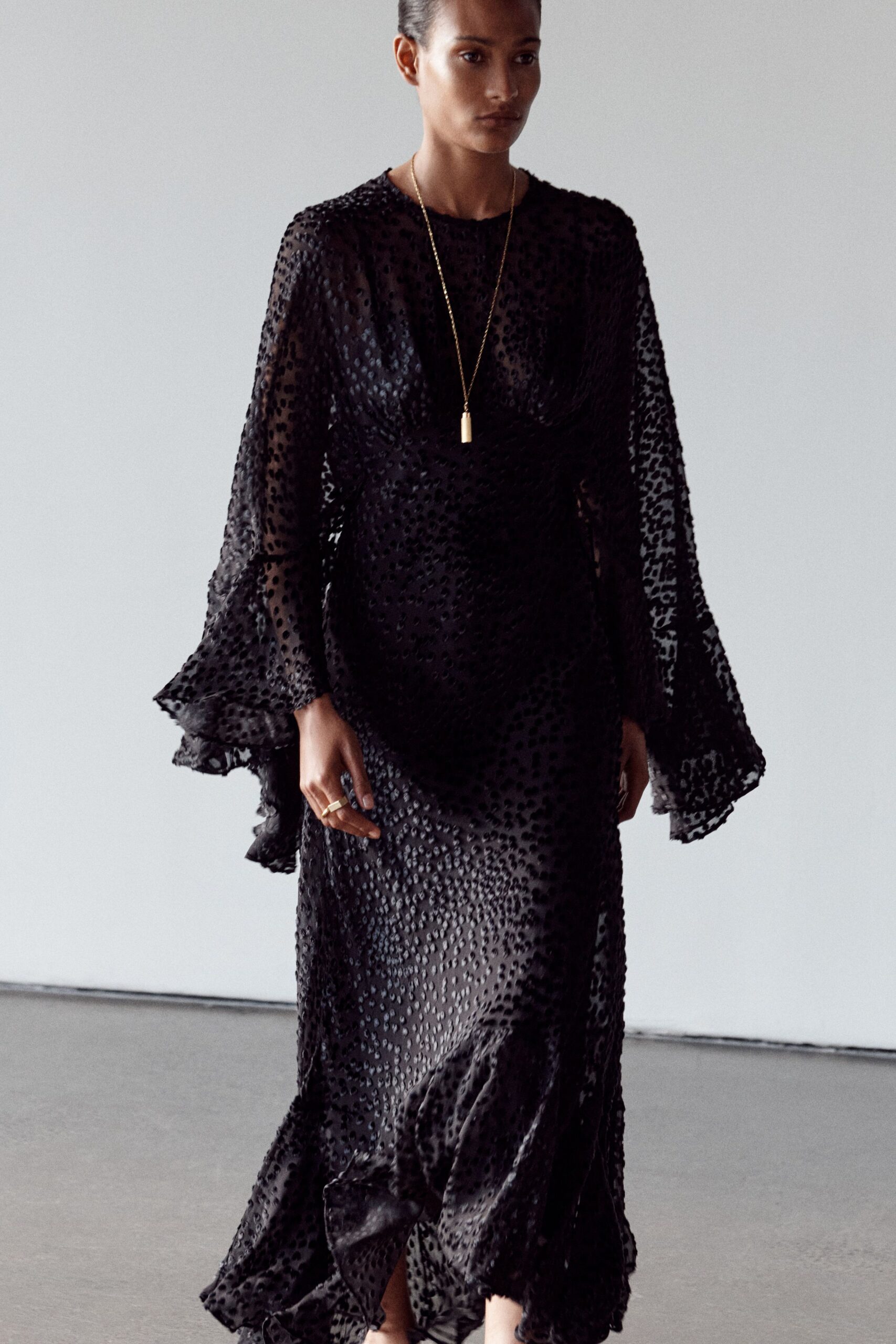black silk sheer gown