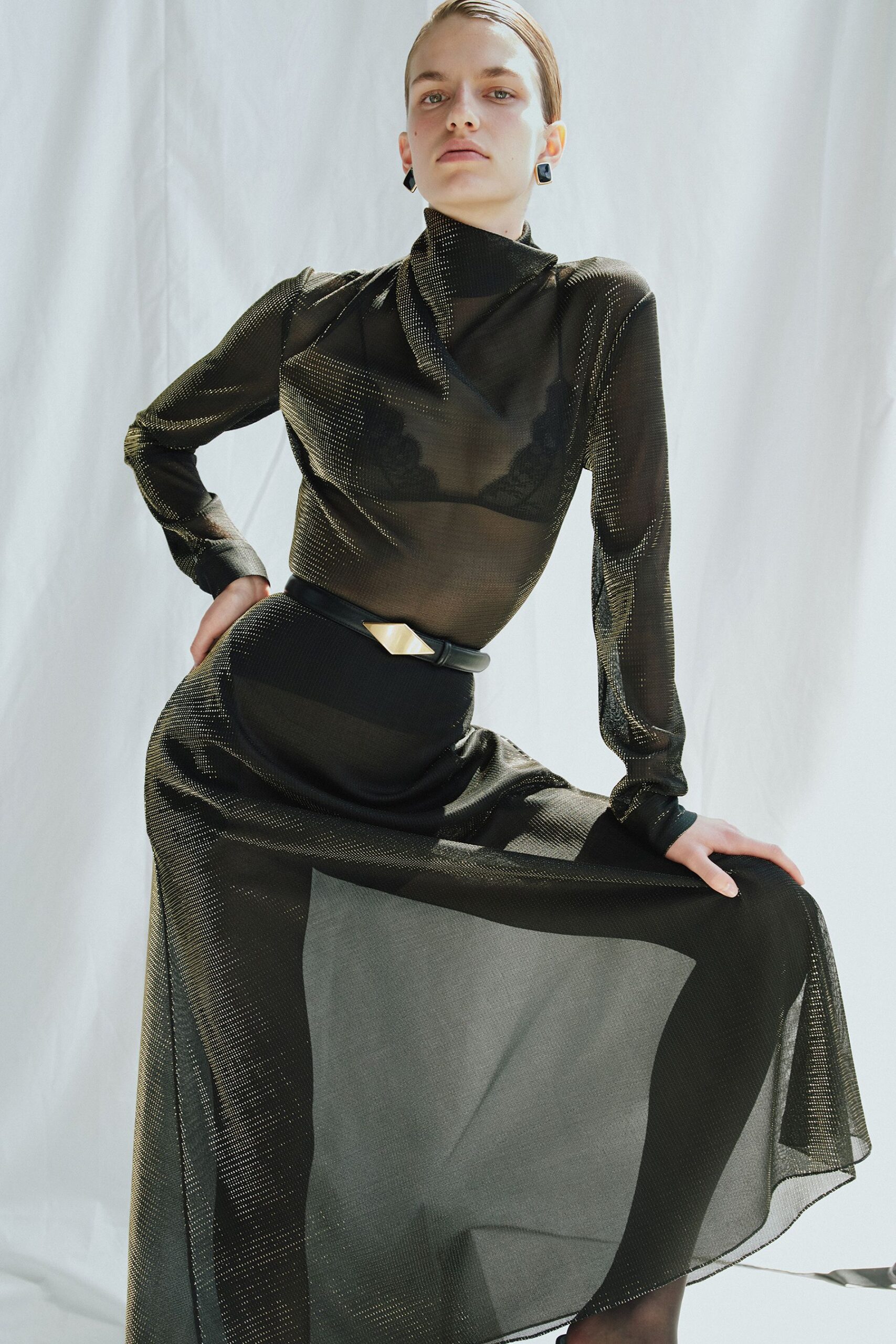 black sheer long-sleeve dress