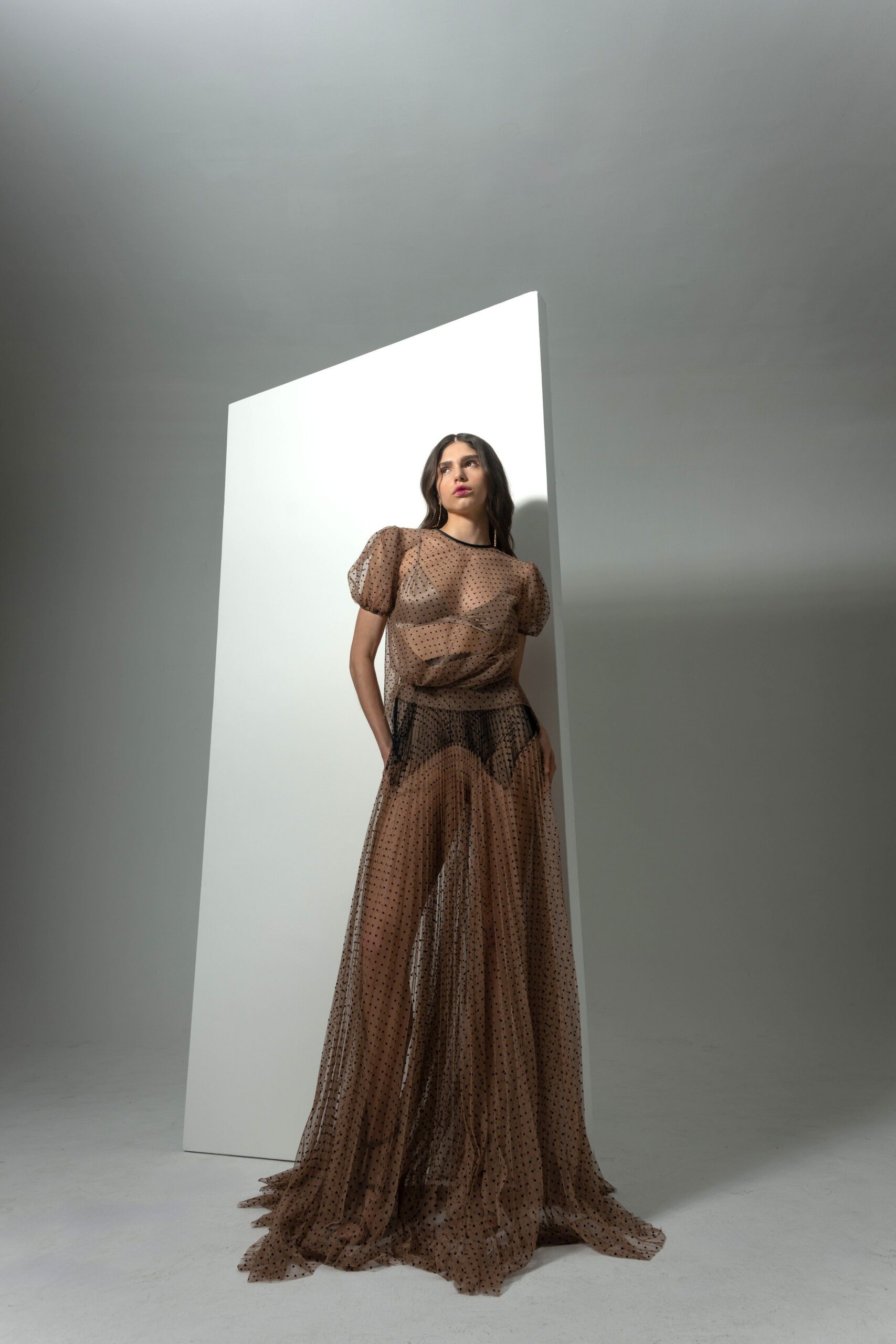 brown sheer tulle gown