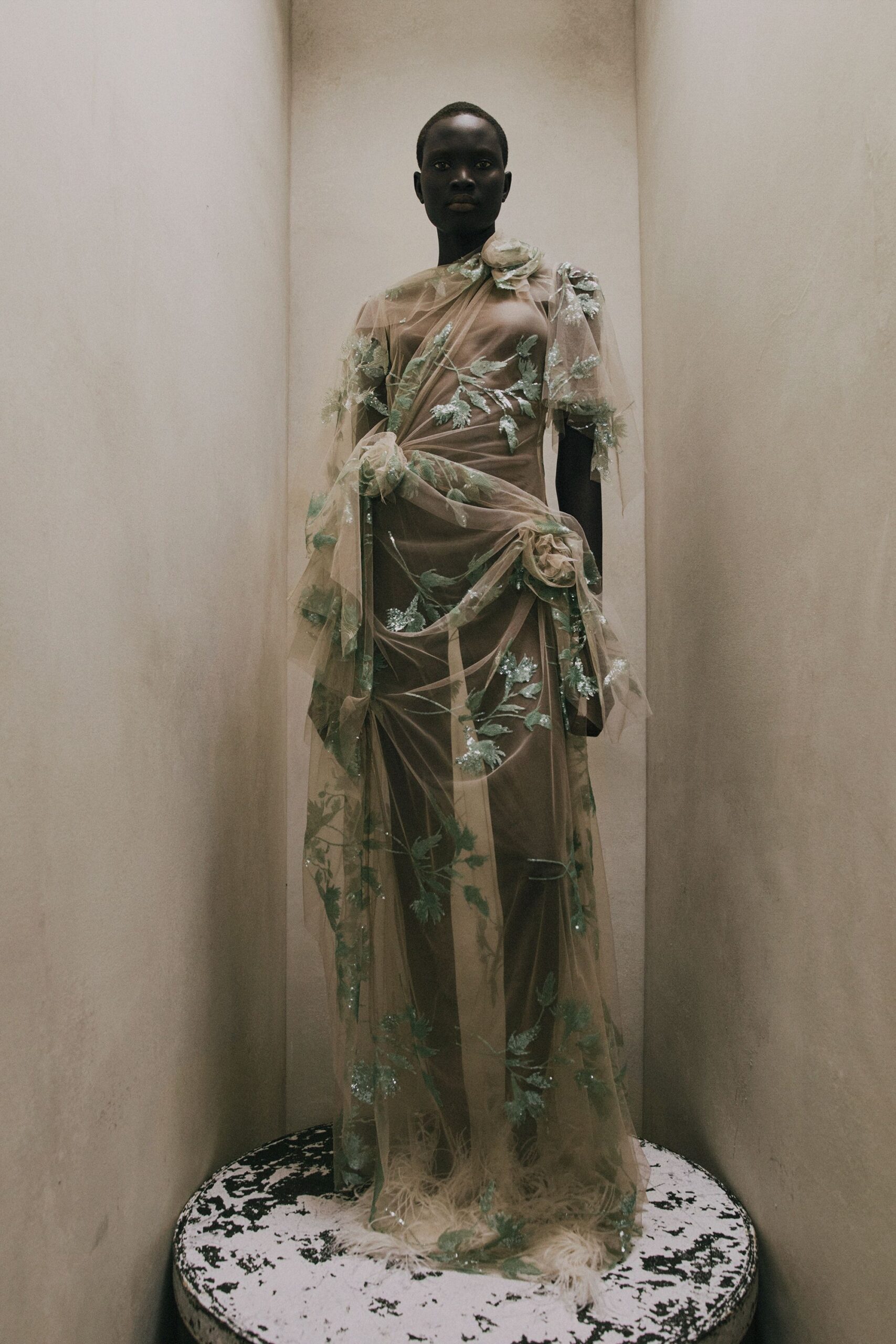 beige sheer embroidered gown
