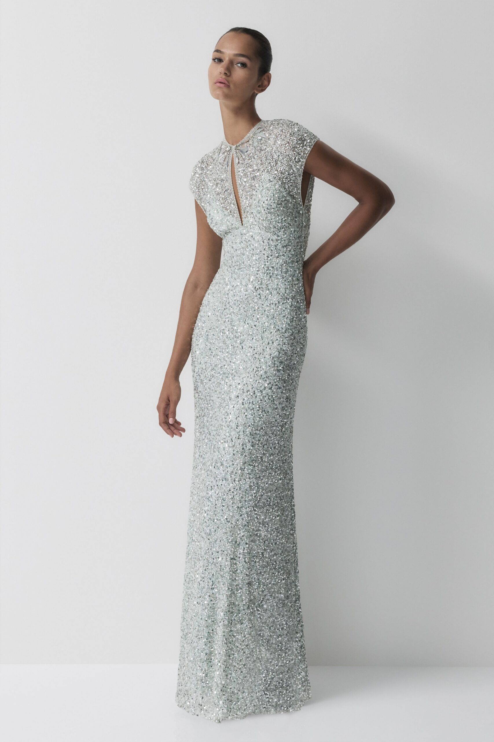silver sequin fitted gown