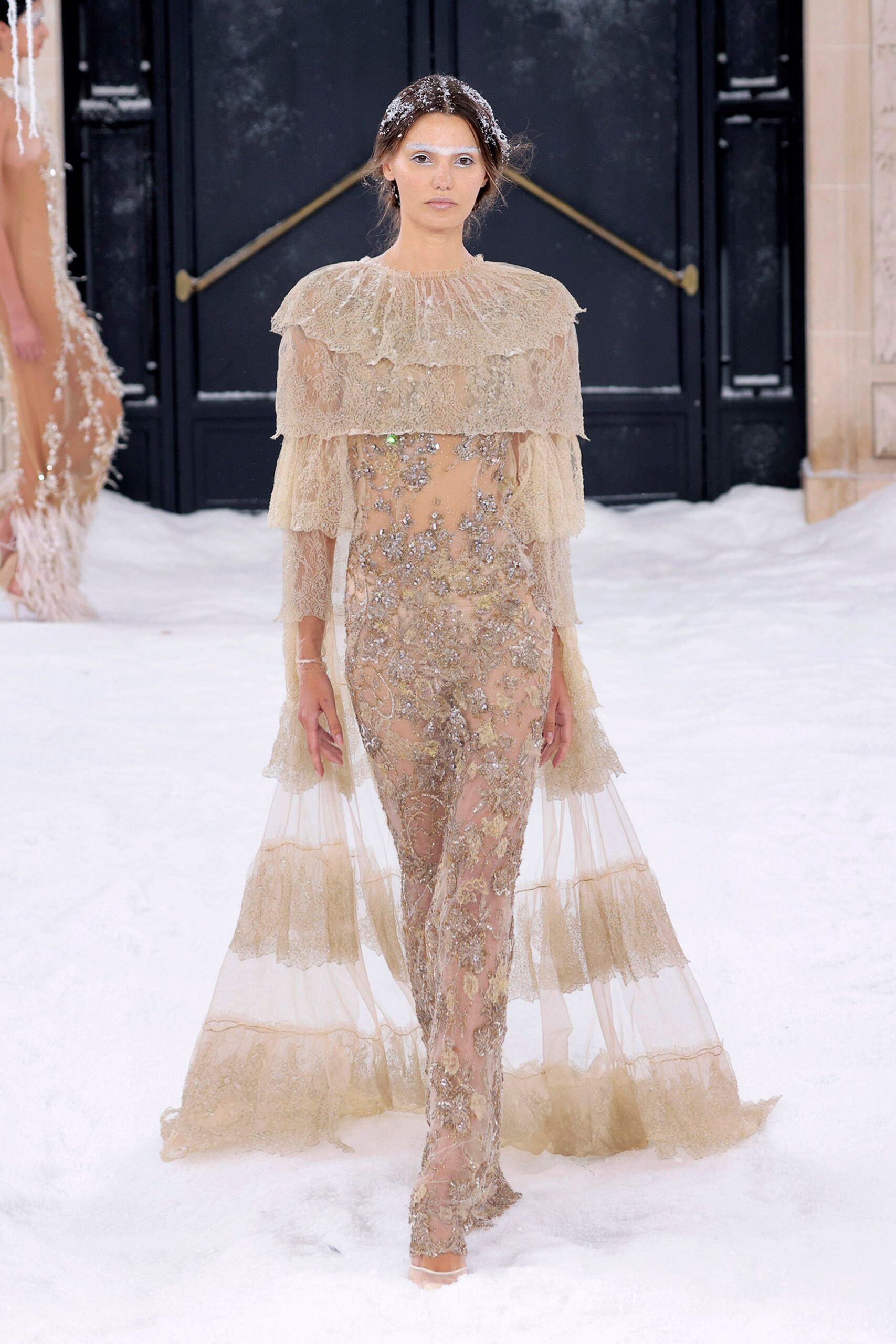 beige sheer embroidered gown